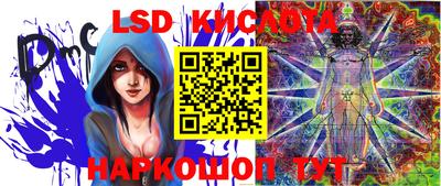 стафф Можга