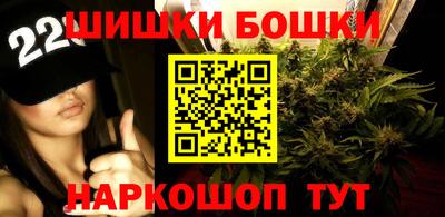 стафф Можга